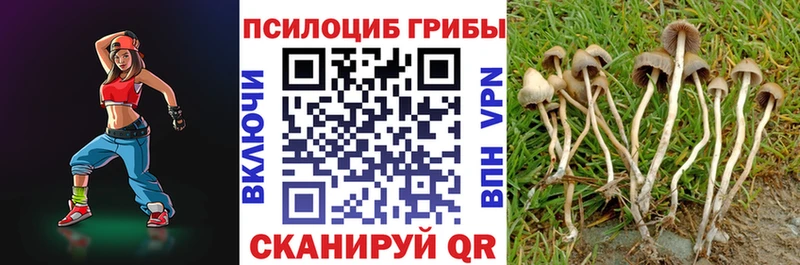 Галлюциногенные грибы MAGIC MUSHROOMS  Свирск 